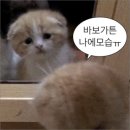 윤성 | 251228 BTN 공개방송 울림파티 in 라스칼라 후기 손진욱 조연호 박시환 윤성 이주혁