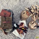 포천 비둘기낭 캠핑장 이미지