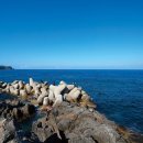 비화항B 이미지