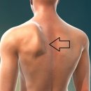 라이브휘트니스 우산점 이미지