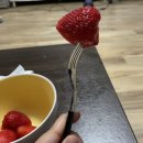 이마트에브리데이 대전둔산점