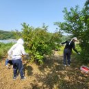 상일축사 이미지