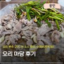 오리마당 | [용인 오리 맛집] ‘오리마당’ 후기, 몸보신 제대로!ㅣ 오리 부추구이