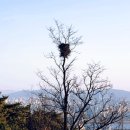 시와 이야기로 소통하기 네이버블로그