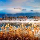 힐링가평오토캠핑장 이미지