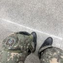 경원수산 | 예비군과 삼성 B형 [3월 2주차]