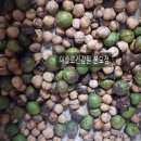 이슬로건강원 이미지