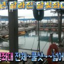 달빛좌대 | 태안갯벌체험 달빛좌대 태안갯벌체험펜션 물때 맞춰 맛조개 잡고 숙소까지!