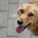 장안동물병원 이미지