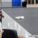 독플래닛 이미지