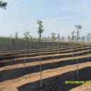 이팝농장 이미지