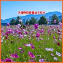 한강시민공원(한강둔치꽃단지) 이미지