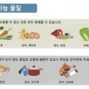 휴리엔에코