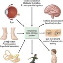 VIP퍼스널 운동센터 이미지