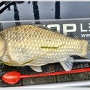 삼인낚시터 이미지