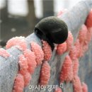 함평 부화장 아시아경제