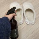 참진바이오 이미지