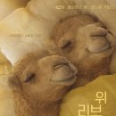 스튜디오인리브 | 위 리브 인 타임 (2024) 시간을 살아간다는 것의 의미 | 낙타의 영화 리뷰