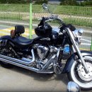 로드스타 이미지