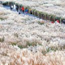 바람따라 이미지