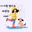 [지정곡]사랑이비를맞아요/배금성 이미지