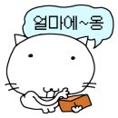 실크로드티