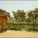 꽃과 한옥 이미지