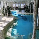 내리 1 밀양경로당 | [밀양시 문화도시센터 열두달]경남 밀양 대형카페/크리스마스트리 카페/밀양 얼음골 사과 구매