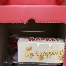 세솔동물병원 이미지