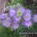 선산대로-10 이미지