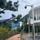 75광장 | 부산 무늬오징어 미치도록 잡고싶다!!! (feat. 영도 75광장)