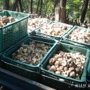 정남진농장 이미지