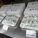 떡순이방