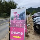 5개월 아기랑 강아지랑 함께하는 여행 1일차 평창 한화리조트 멍패커 객실 대관령한우식당 후기