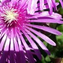 터골농원 이미지