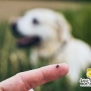 이평택안과의원 이미지