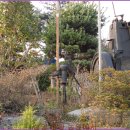 상양관광농원 이미지