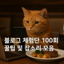 그루밍공방 | 블로그 체험단 100번 해본 사람의 꿀팁 및 잡썰 : 체험단 사이트, 잘 선정되는법 등