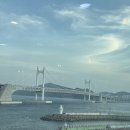 광안리대영횟집 | 광안리맛집 대영횟집 오션뷰 광안리횟집 활어회 A코스 솔직후기