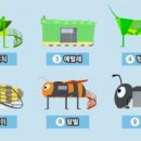 등억알프스야영장 이미지