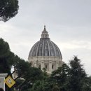 초록약국 | 이탈리아 여행 상비약, 과하다 싶을 정도로 챙기세요(로마 약국 후기)