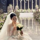 대구/경북 웨딩 최신 소식 총정리ㅣ메르디앙 다소니홀·노비아갈라·엠스타하우스까지 한눈에
