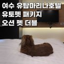 똘이PC | 여수 숙소 ] 여수 애견동반 숙소 유탑 마리나 호텔 / 유토펫 패키지 오션 펫 더블 후기 (ft. 부대시설)