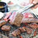 라오니아 이미지