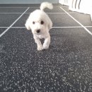 견학생스쿨 이미지