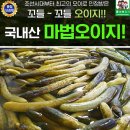 에바다