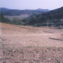 바라농장 이미지