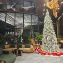 엠버리조트 | 제주도 가족여행 호텔 추천 엠버 퓨어힐 앤 리조트 제주 후기