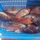 CU(대산삼길포점) 이미지