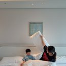 서강나루공원 | 호텔 나루 서울 엠갤러리 프리미어 리버 킹 객실, 마포 에이트 카페 후기